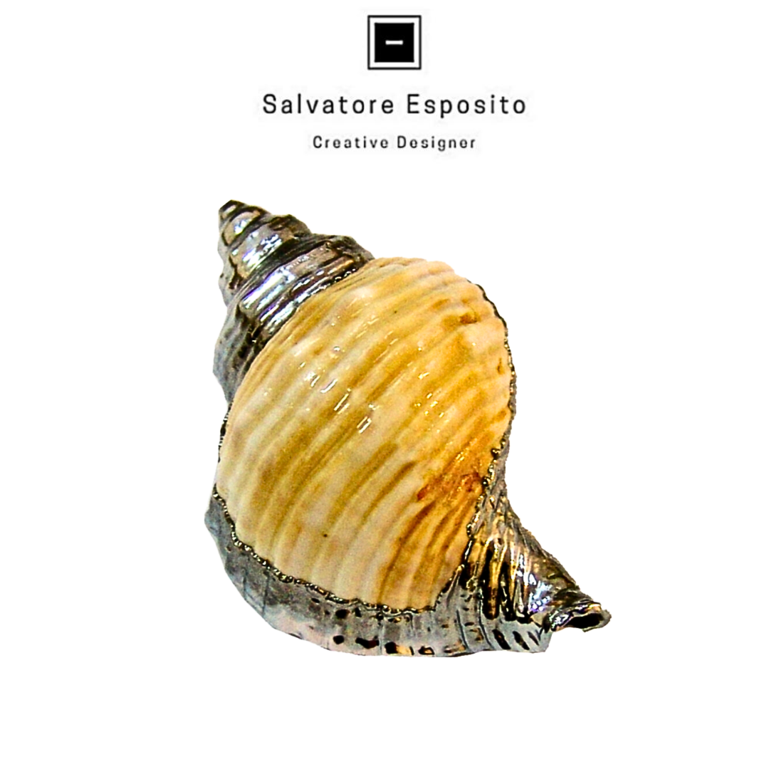 Cod.4906 Figus gracilis in argento