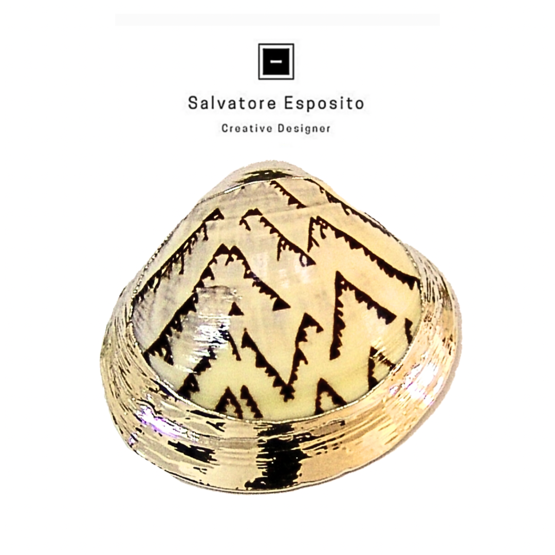 Cod.4120 Leoconcha castrensis in argento