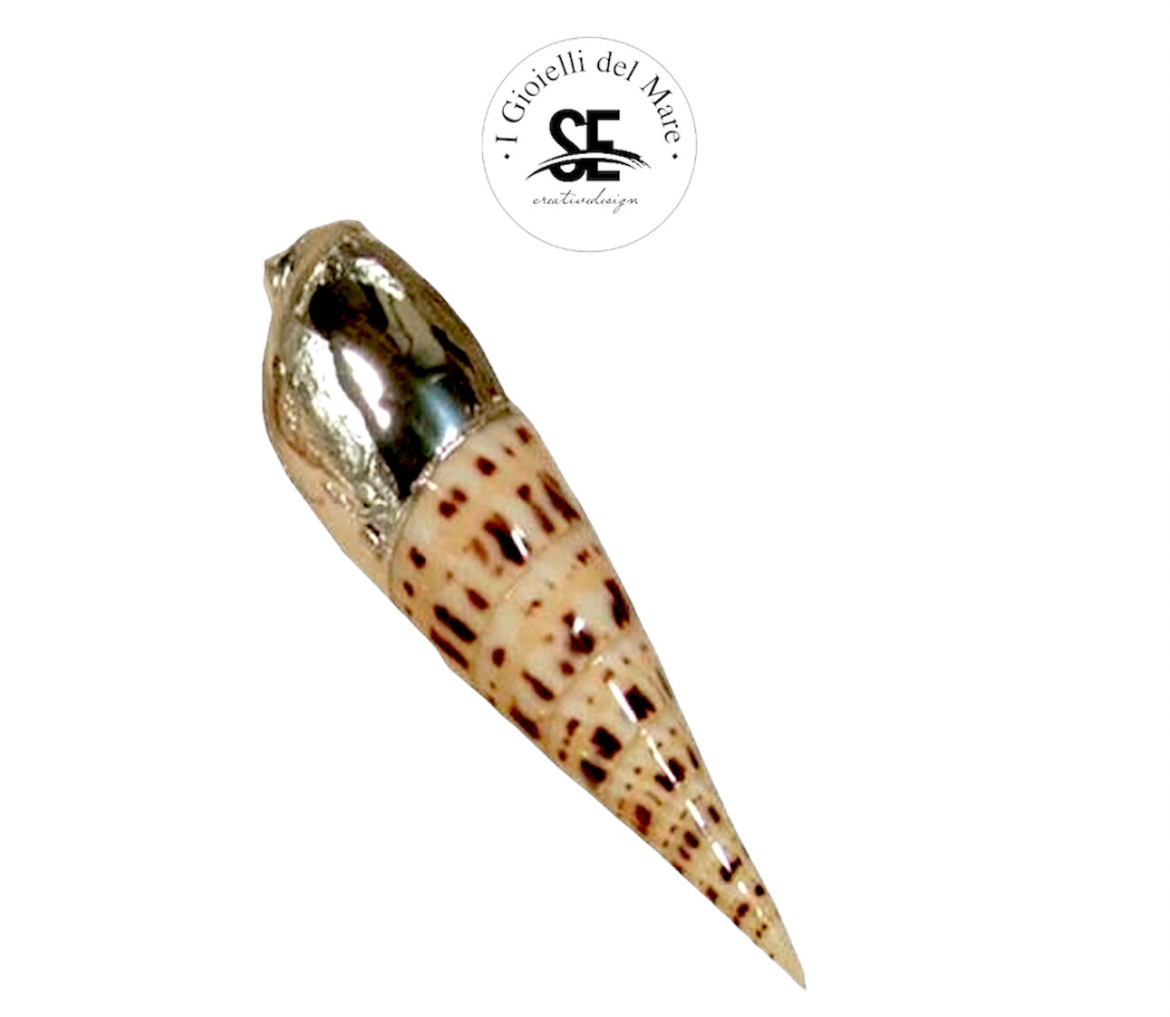 Cod.79011 Terebra maculata naturale in argento
