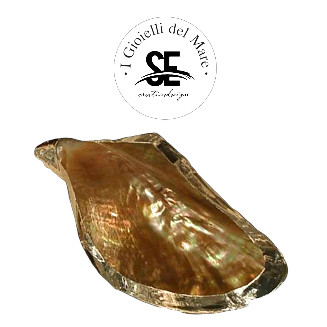 Cod.65014/M Picteria pinguin madreperla in argento