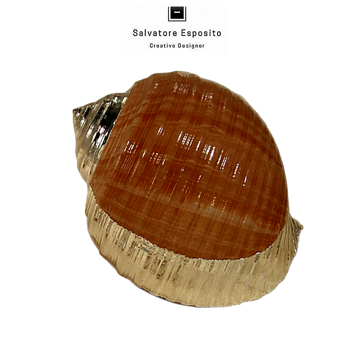 Cod.79413 Tonna cepa in argento