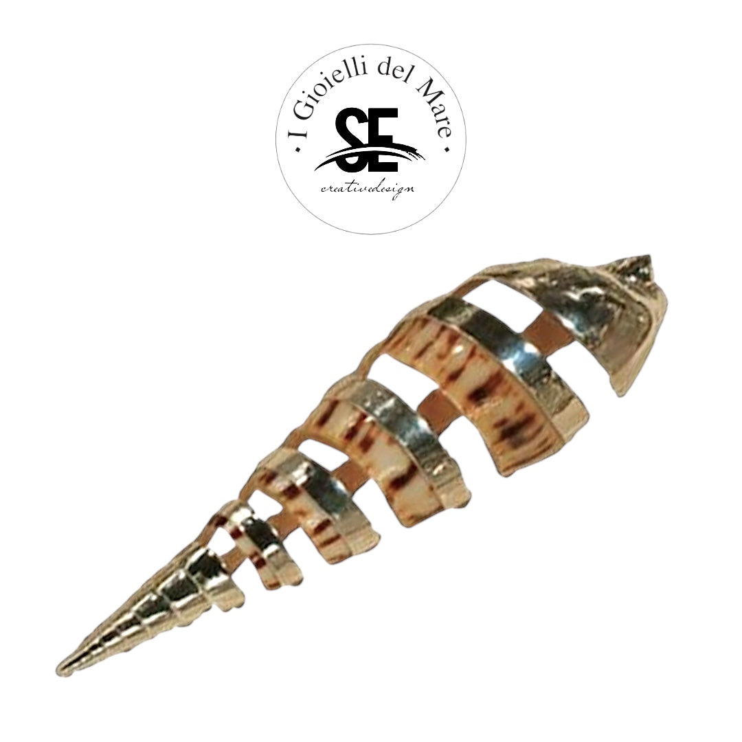 Cod.78720 Terebra maculata spiral in argento