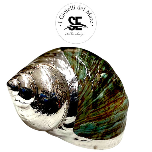 Cod.83407 Turbo naturale e madreperla in argento