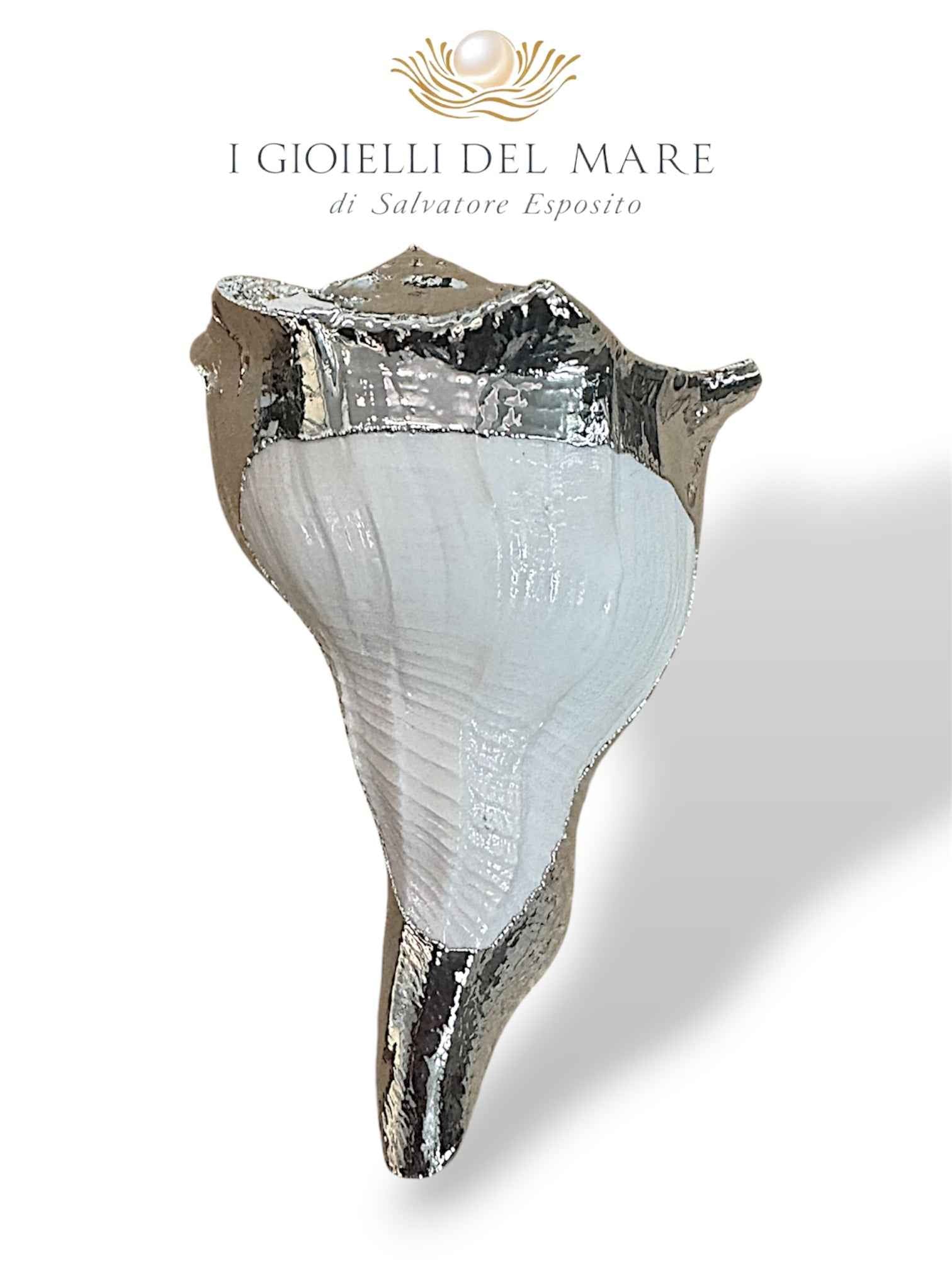 Conchiglia naturale Busycon contrarium rivestita con lamine in argento