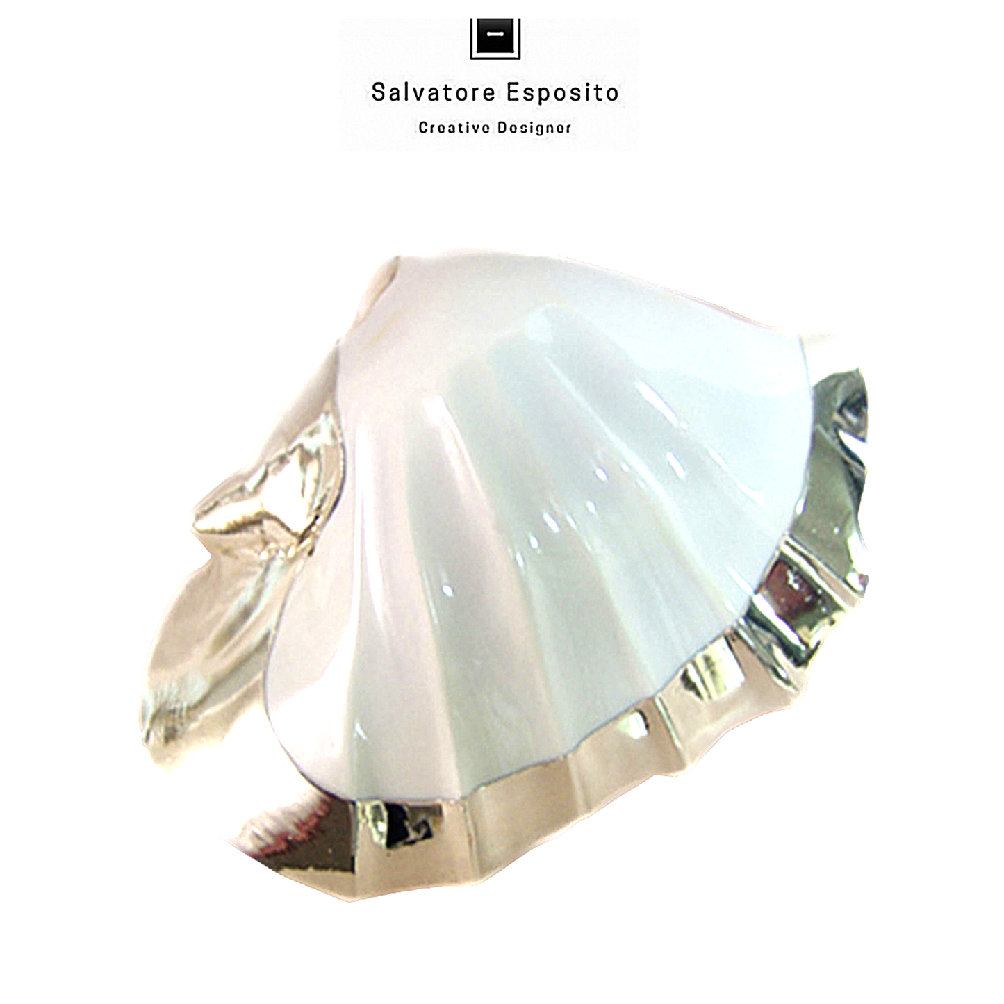 Cod.75914 Strombus bianco banded