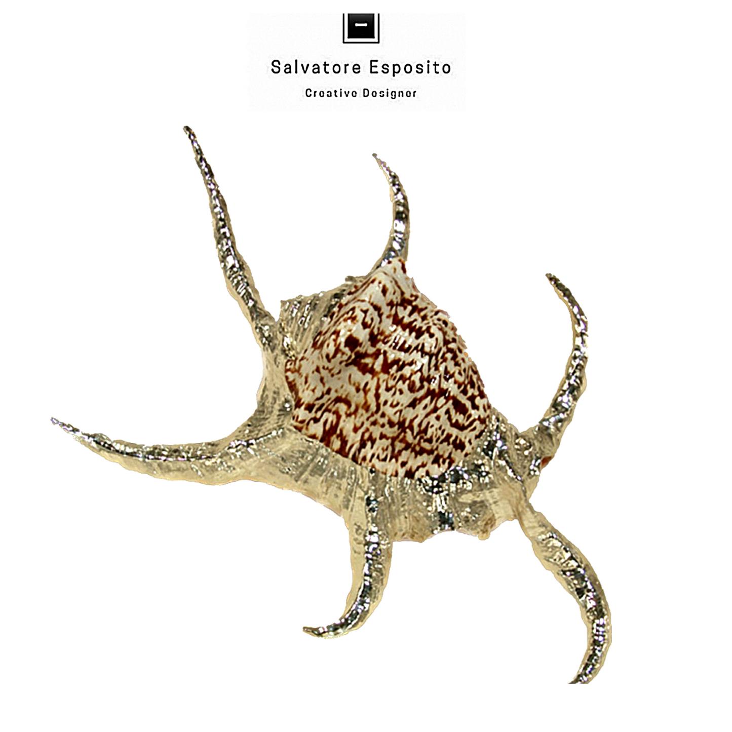 Cod.42018 Lambis Chiragra in argento