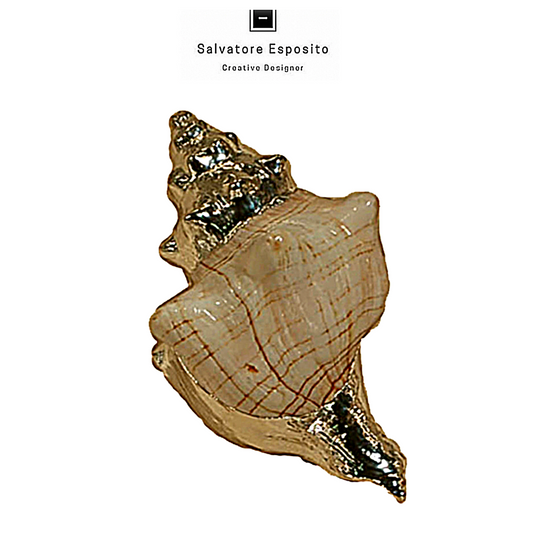 Cod.Asc32 Fasciolaria trapezium in argento