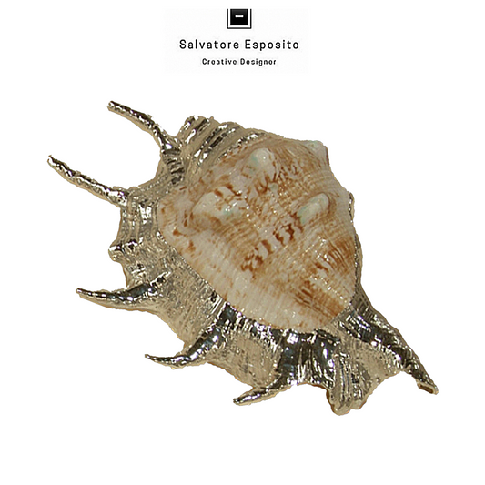 Cod.43011 Lambis lambis in argento