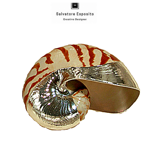 Cod.83508 Nautilus naturale in argento