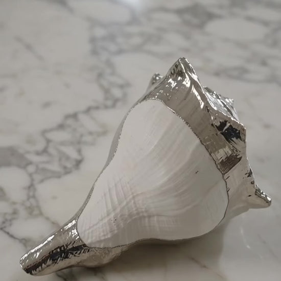 Conchiglia in argento creata da Salvatore Esposito , artigianato italiano