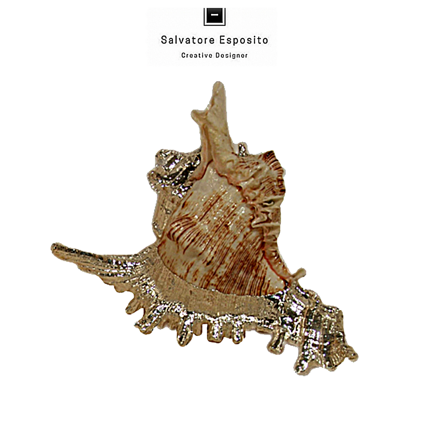 Cod.57512 Murex ramosus argento