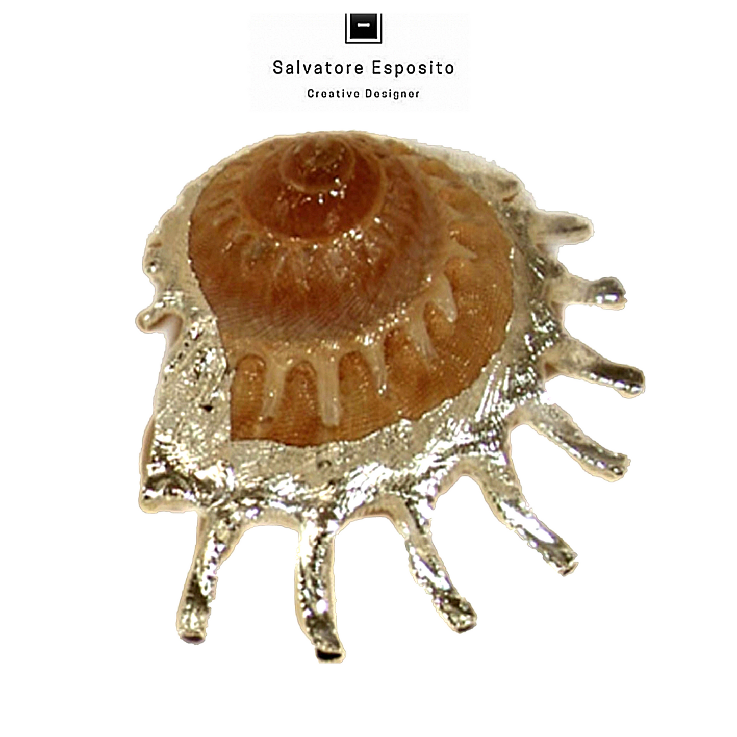 Cod.74012 Astrea Stellaria in argento